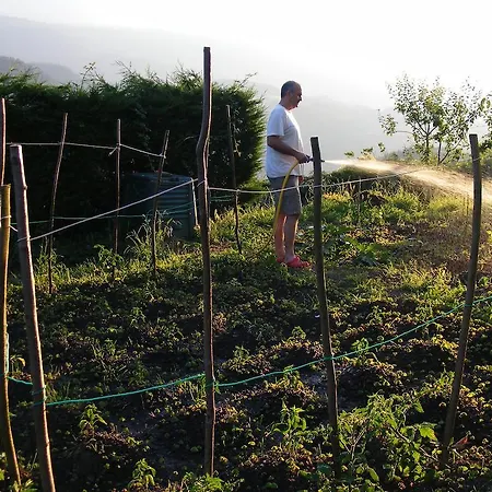 カントリーハウス Altzuste Landetxea セアヌリ