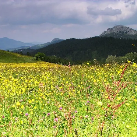 Altzuste Landetxea セアヌリ