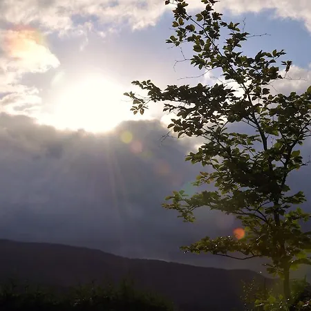 カントリーハウス Altzuste Landetxea セアヌリ