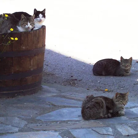 カントリーハウス Altzuste Landetxea