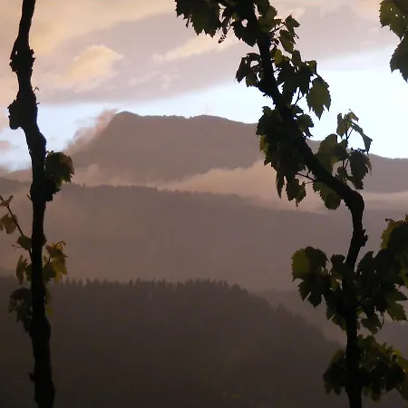 Altzuste Landetxea セアヌリ