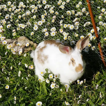 Casa di campagna Altzuste Landetxea Zeanuri