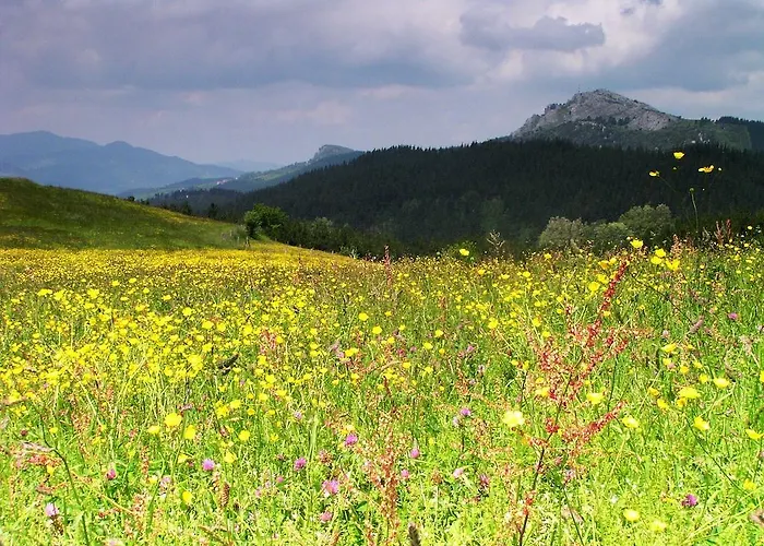 Altzuste Landetxea Zeanuri