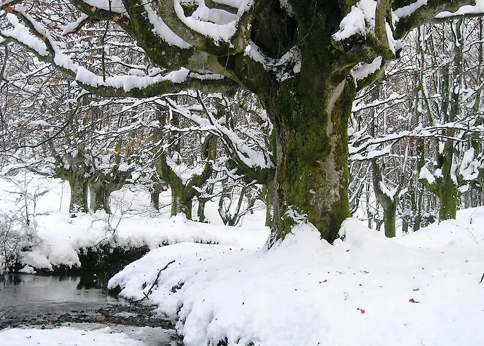 Εξοχικό σπίτι Altzuste Landetxea