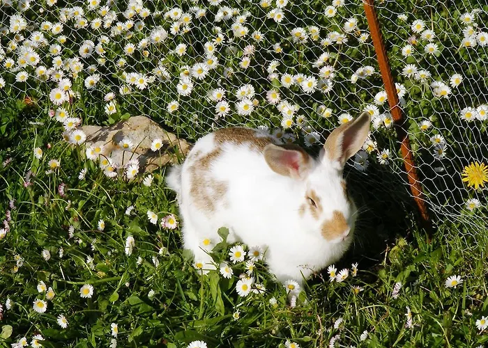 Εξοχικό σπίτι Altzuste Landetxea Zeanuri