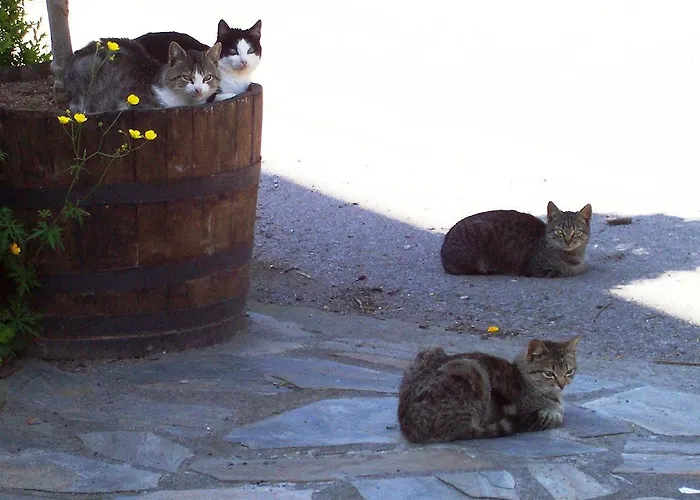 Εξοχικό σπίτι Altzuste Landetxea