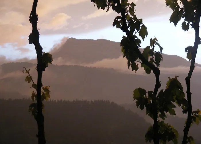 Altzuste Landetxea Сеанури